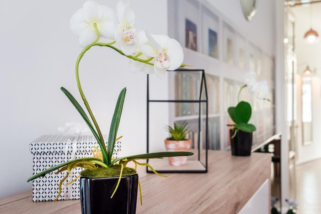 Bpr Purehome Apartment Budapest Exterior photo